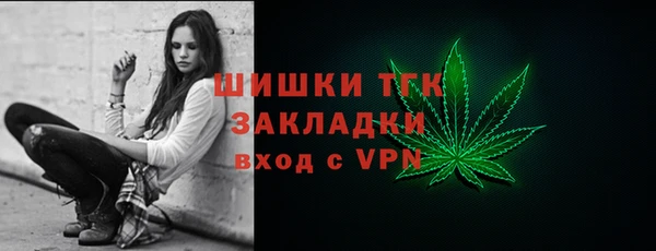 гидра Кодинск