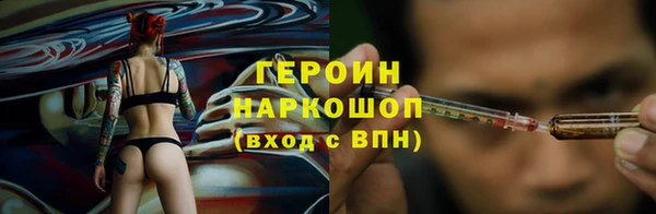 гидра Кодинск
