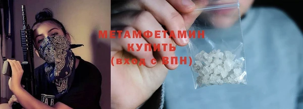гидра Кодинск