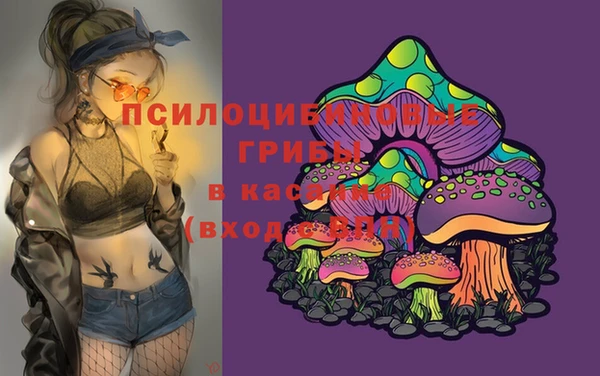 бошки Козельск