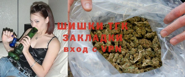 гидра Кодинск