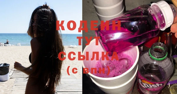 гидра Кодинск