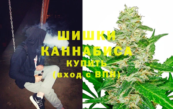 дживик Коряжма