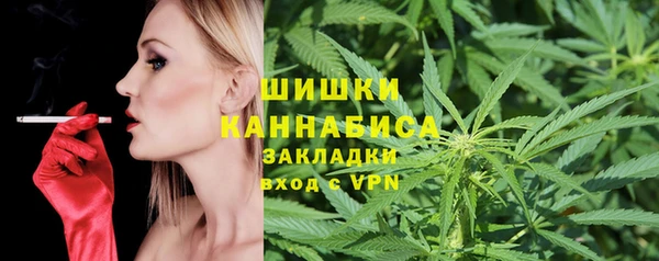 гидра Кодинск