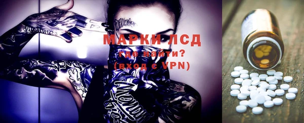 гидра Кодинск