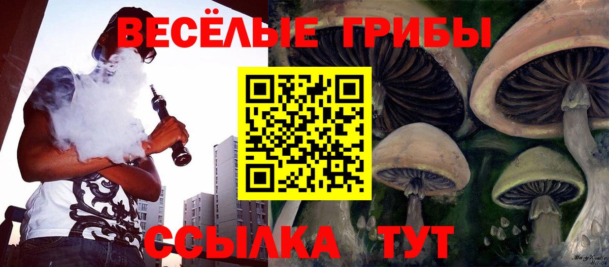 Псилоцибиновые грибы Psilocybine cubensis Котельники