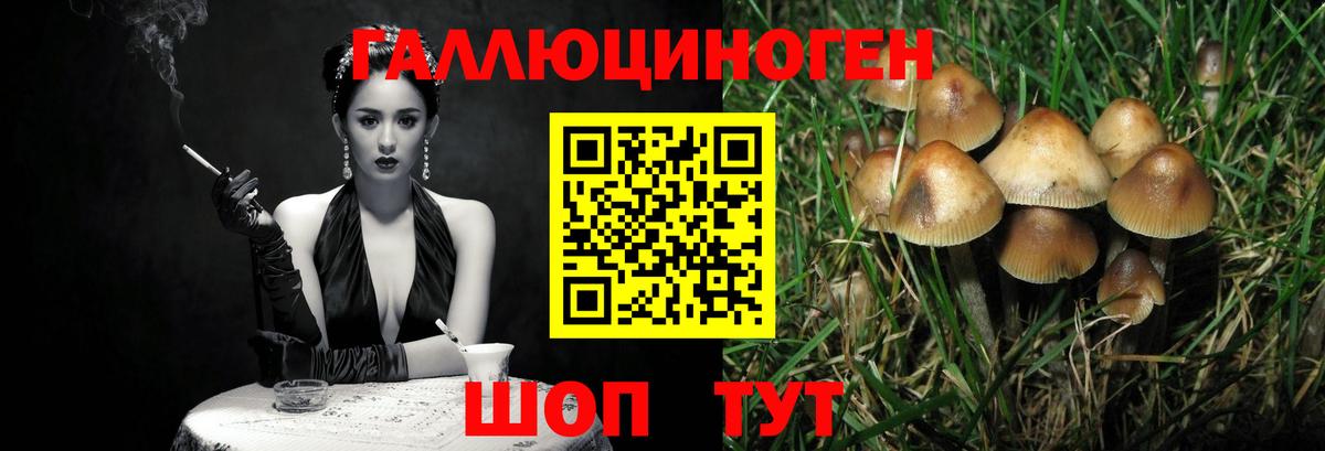 Галлюциногенные грибы мицелий  Вход с VPN  купить   Котельники 